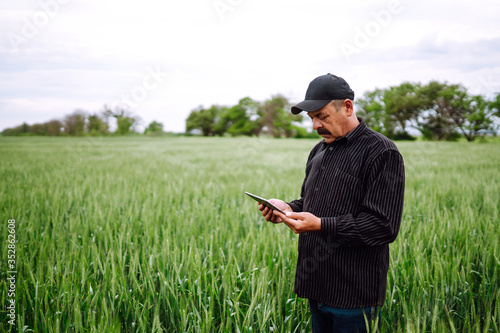 Farmer working with digital tablet for check wheat field. Green wheat field. Agricultural growth and farming business concept. Smart farm.