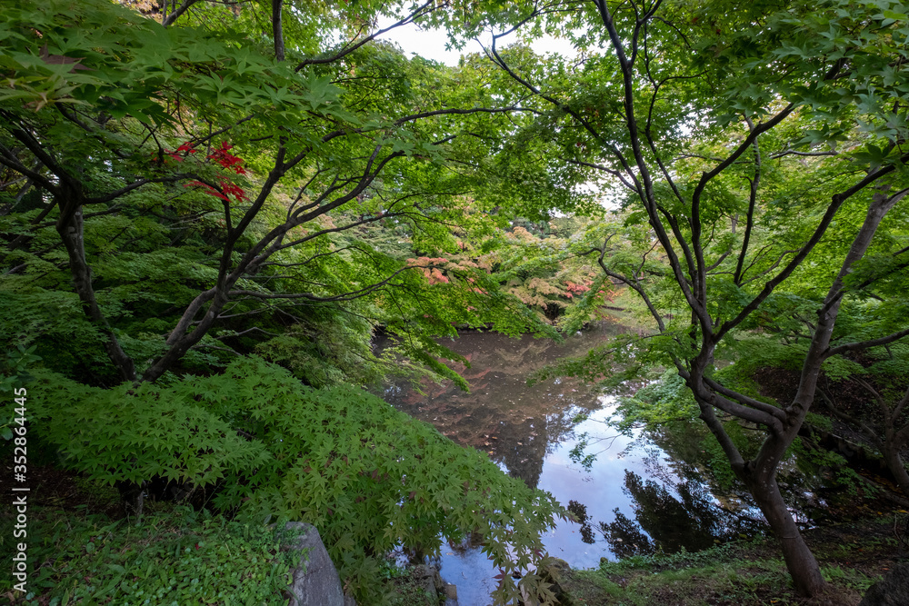 Fototapeta premium Przedmieście Japonii Po kryzysie epidemicznym COVID-19, czyli wirusy koronowe.