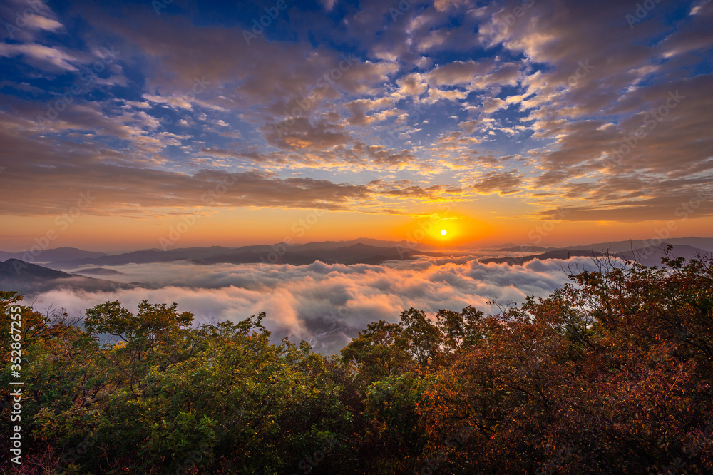 Beautiful morning mist at sunrise in South Korea.