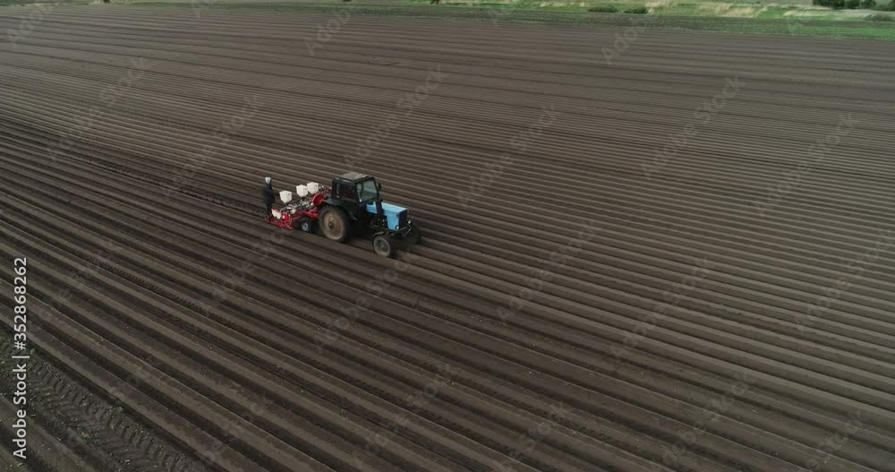 Agriculture, spring sown fields. A tractor with a trailer plants carrots. Agriculture, spring sown fields. A tractor with a trailer plants carrots.