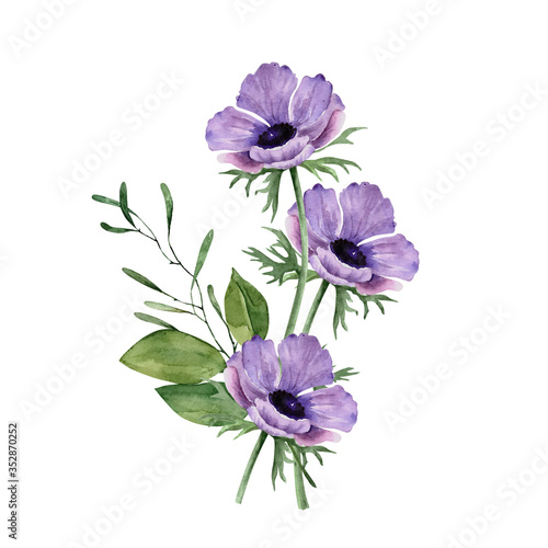 bouquet of purple anemone flowers on a white background, watercolor illustration 