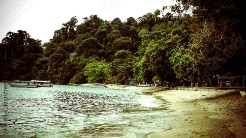 Boats by the shore and near to woods