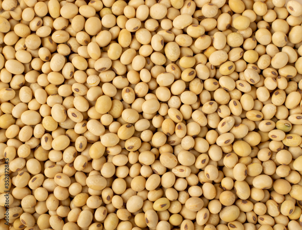 Raw dehydrated soybeans isolated on white background Raw dehydrated soybeans isolated on white background
