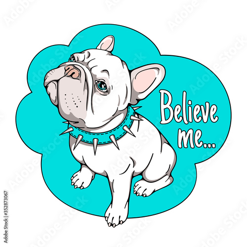 Сute cartoon french bulldog in spiked collar. Believe me illustration