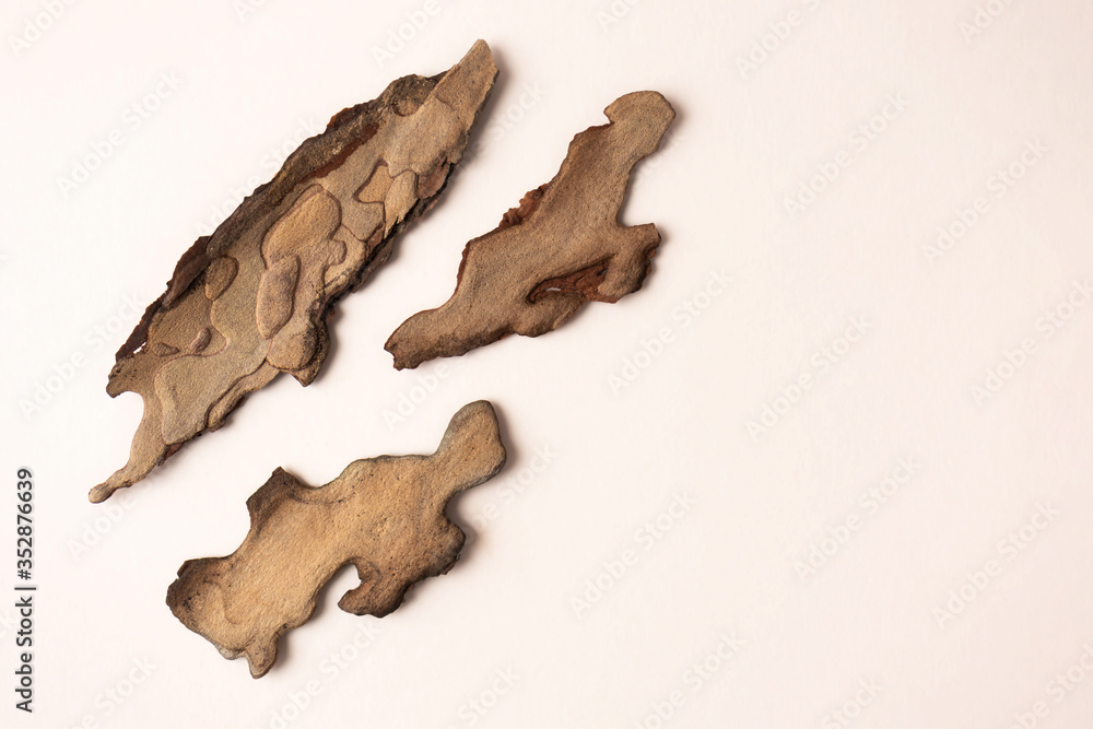 Fototapeta premium Pine tree bark particles on beige background, top view. Template for flat lay about natural bio organic product with copy space