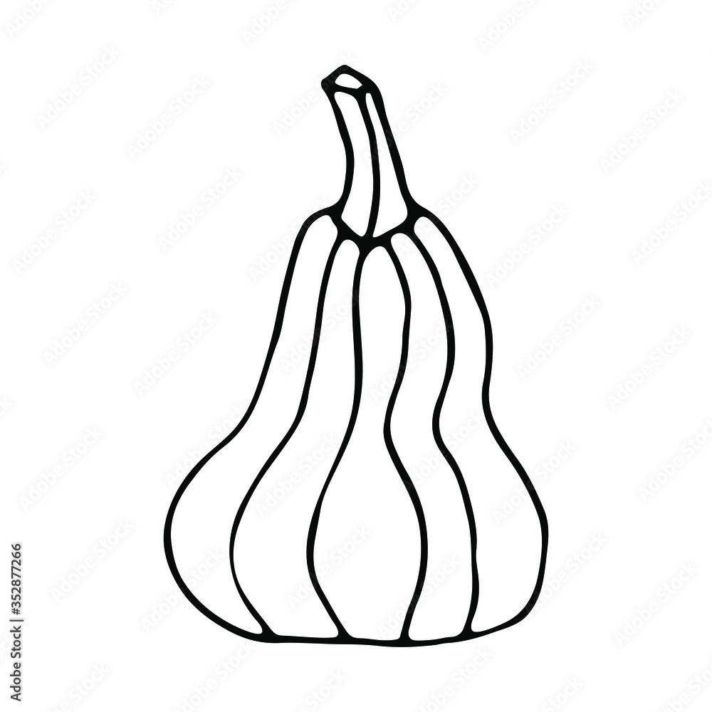 Isolated hand drawn vector illustration of pumpkin in doodle style. Black and White. Autumn harvest festival. Halloween's element for party, poster, invitation, any design. Isolated hand drawn vector illustration of pumpkin in doodle style. Black and White. Autumn harvest festival. Halloween's element for party, poster, invitation, any design.