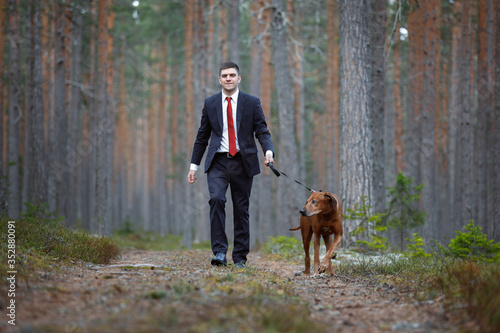 Walk with a dog in the pine forest. man with Rhodesian Ridgeback in nature