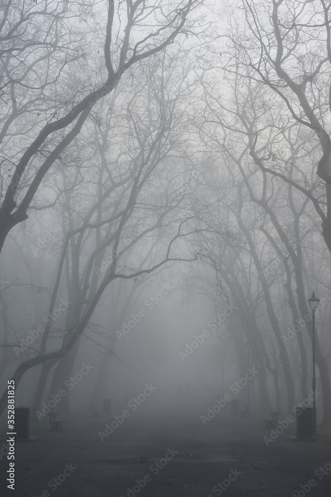 London foggy parks, London foggy parks,