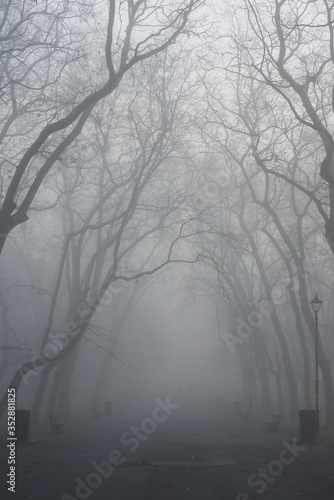 London foggy parks  
