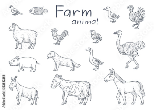 vector illustration of farm animal. hand drawn collection.