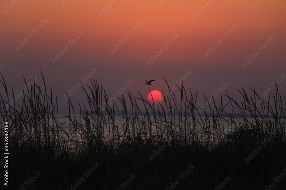Drama red sunset on the  Black sea in August. Kinburn, Mykolaiv, Ukraine.