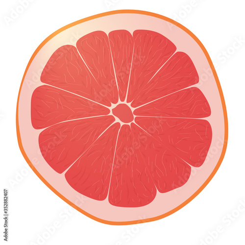 Realistic citrus image. Red oranges fruits and slices with leaf isolated on white background. Grapefruit