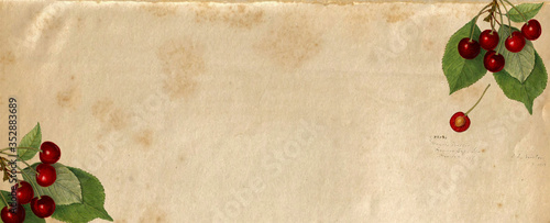 cherry watercolor vintage c...