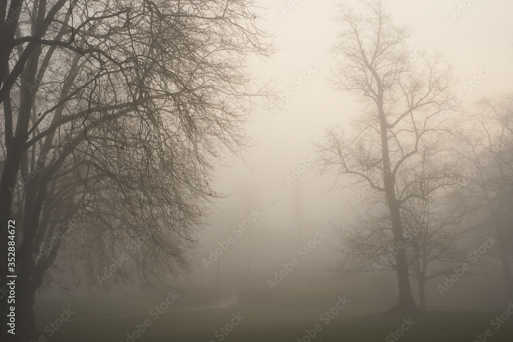 London foggy parks, London foggy parks,