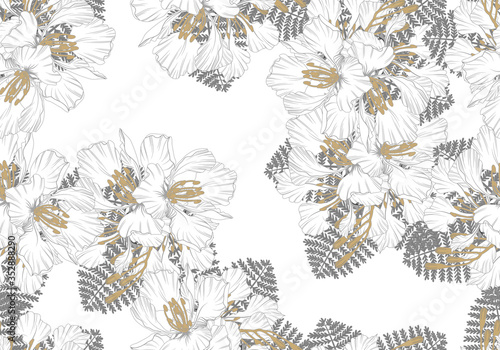 seamless pattern of royal poinciana flowers with hand drawn and line art on white background photo