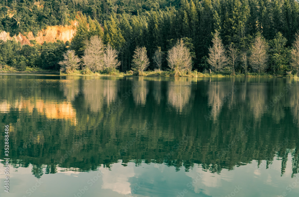 reflection of trees in lake