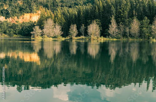 reflection of trees in lake