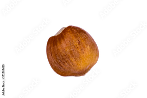 One hazelnut isolated on the white background