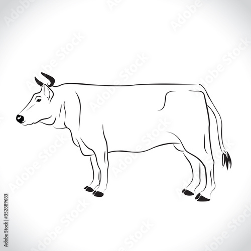 vector of an cow body design isolated on the white background. Cow body Logo.