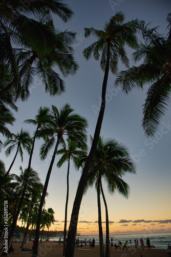 ハワイの夕焼け © kuon2602
