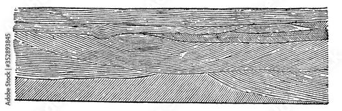 Eolian Cross Bedding, vintage illustration.
