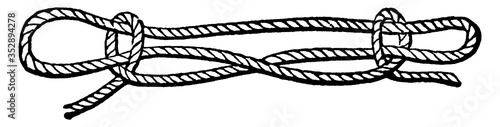 Sheepshank, vintage illustration.