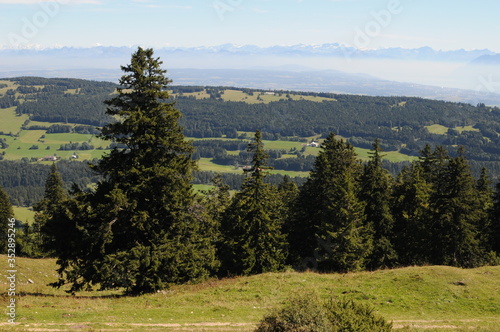 Vue de Vallorbe sur les alpes