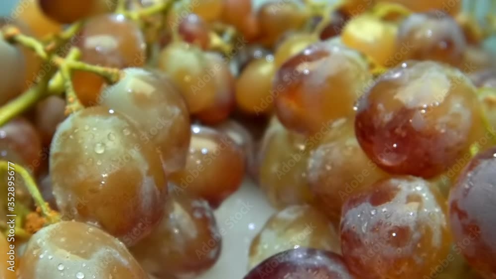 The camera moves slowly next to the bunches of ripe, tasty, juicy and sweet grapes. Berries are covered with water droplets in which light is reflected. Macro. Closeup. Shallow depth of field. Ultra s The camera moves slowly next to the bunches of ripe, tasty, juicy and sweet grapes. Berries are covered with water droplets in which light is reflected. Macro. Closeup. Shallow depth of field. Ultra s
