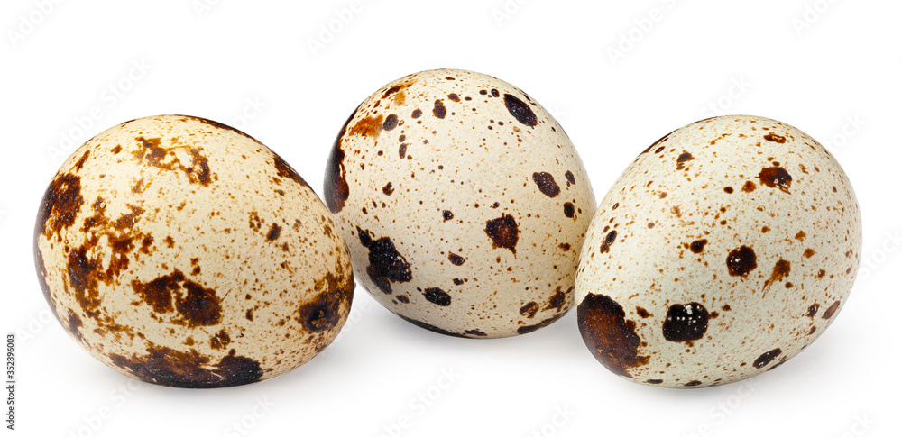 Quail eggs isolated on white. Package design element