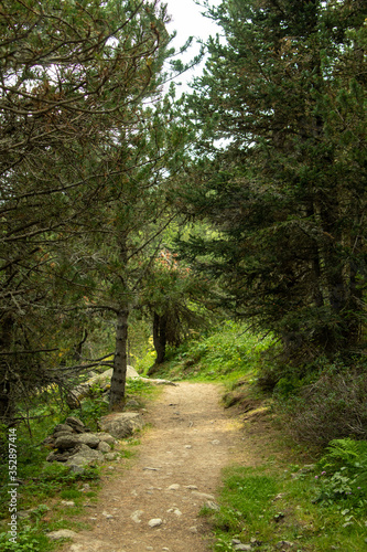 mountain trail in green landscape