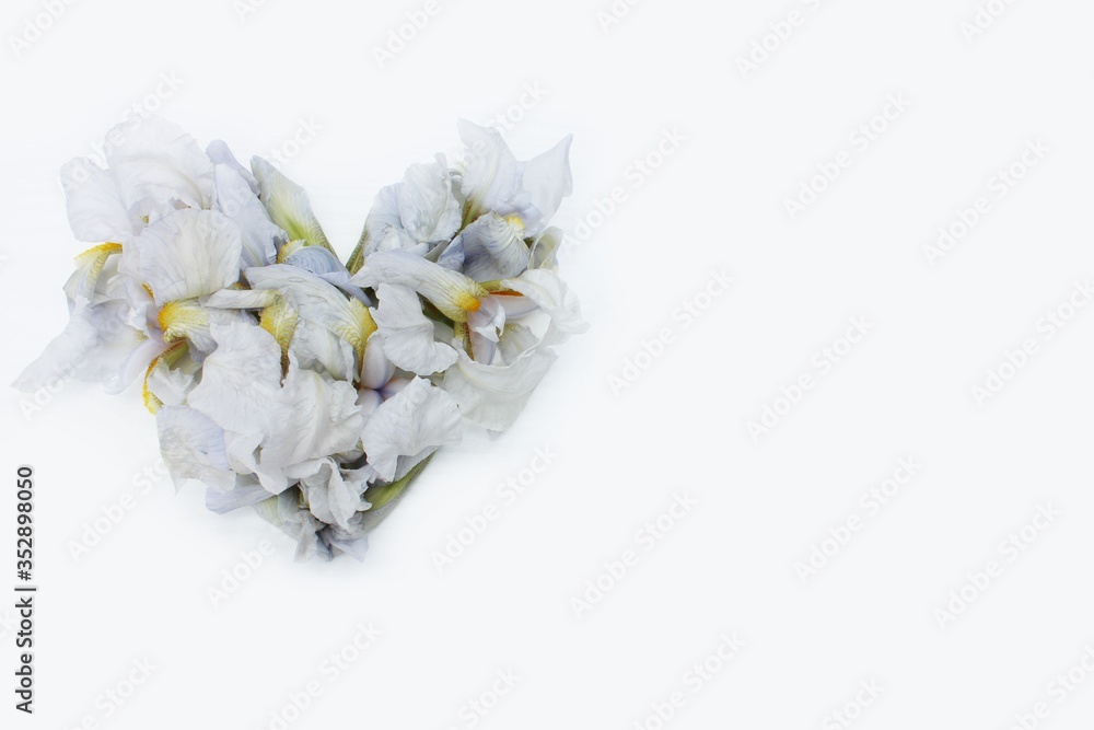 Heart made of white fresh flowers isolated. Heart symbol made of
iris flowers isolated on white background. Love concept for Valentine's and Mother's Day. Floral Heart Shape.