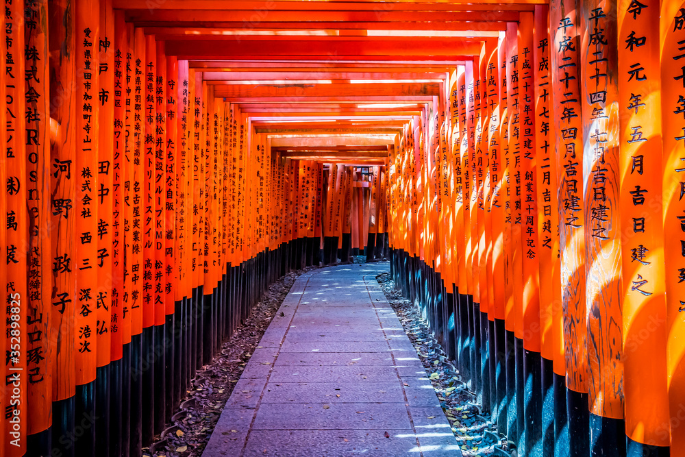 Naklejka premium 京都 伏見稲荷 鳥居 ~ Fushimi Inari Shrine, thousands of vermilion torii gates, Kyoto, Japan ~
