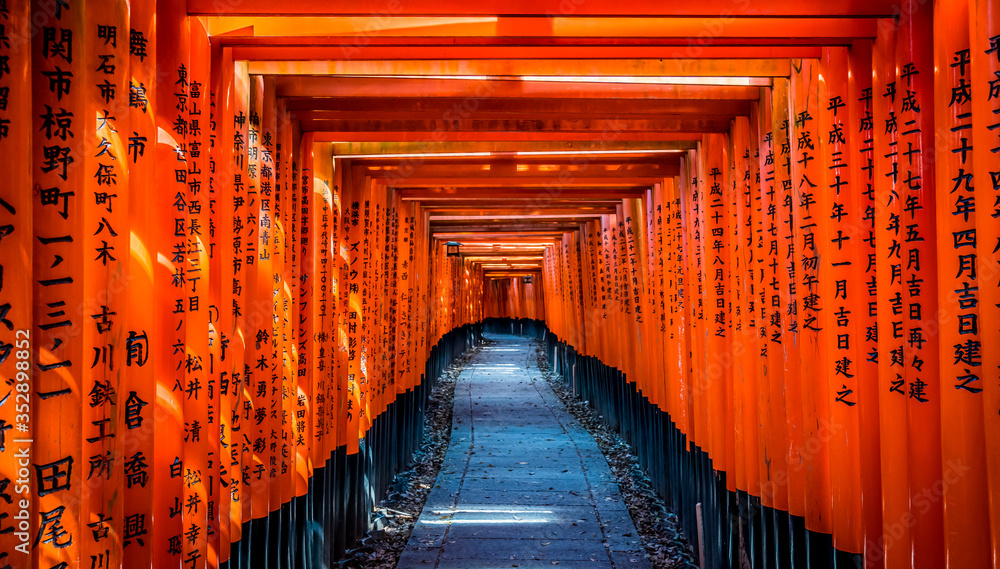 Fototapeta premium 京都 伏見稲荷 鳥居 ~ Fushimi Inari Shrine, thousands of vermilion torii gates, Kyoto, Japan ~