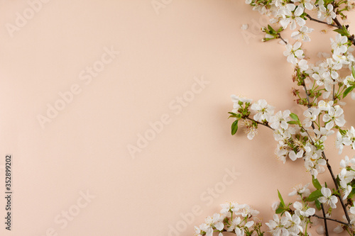 flowering branches on a pastel background with a place for an inscription. 