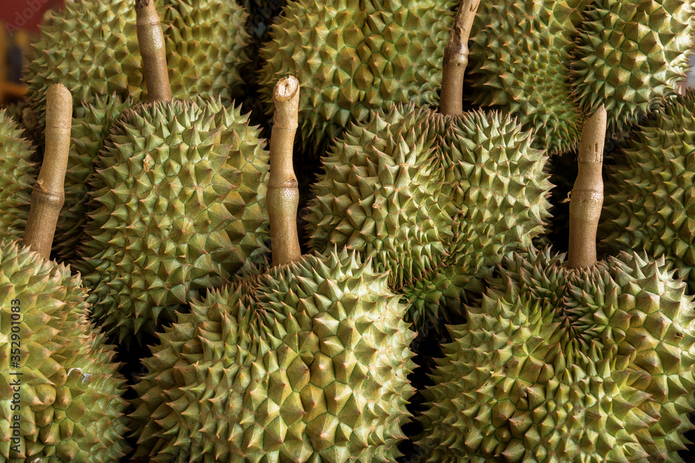 Durian available for sale in the Thai fresh market. Durian available for sale in the Thai fresh market.