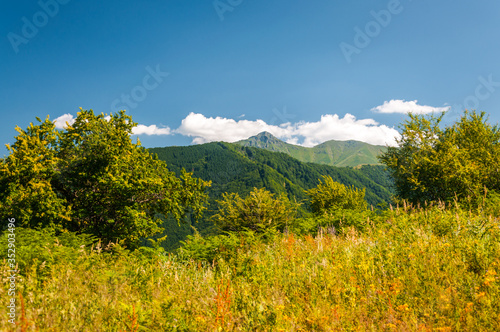 Mountain scenery in a warm sunny  summer day. Stara planina  Bulgaria