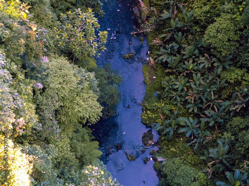 River among the greenery in the jungle. View from above