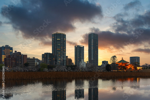 Sunset over the dried stem lotuses and Ueno skyscrapers reflecting in the pond of Ueno park with the illuminated octagonal Shinobazunoike Bentendo hall in Tokyo.