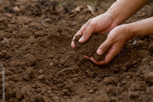 Expert hand of gardener checking soil health, preapre for sowing a seed or growth a seedling of vegetable and flower at home garden. photo