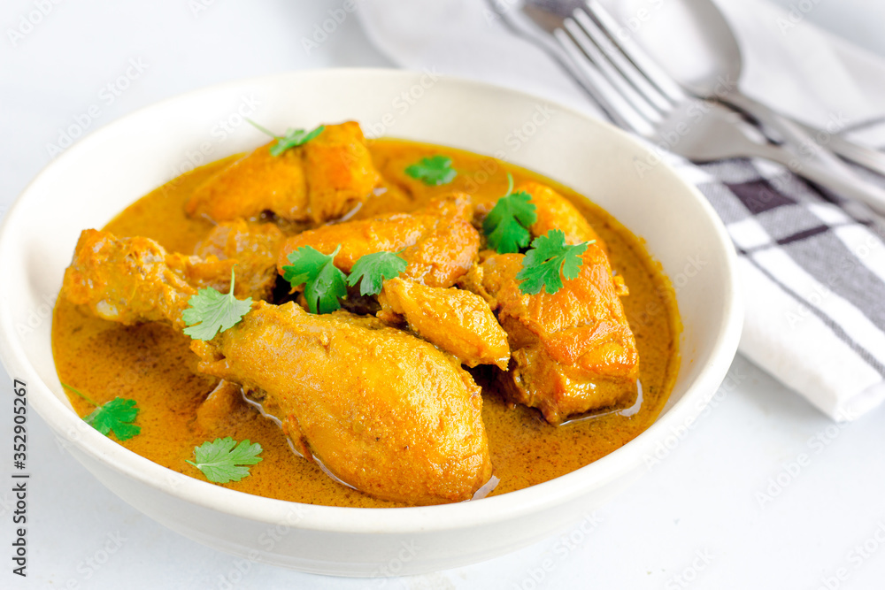 Indian Chicken Curry Garnished with Cilantro Close Up Horizontal Photo Indian Chicken Curry Garnished with Cilantro Close Up Horizontal Photo