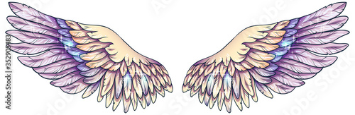 Beautiful magic glowing light tender yellow violet angel wings, vector