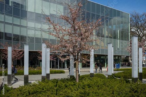 Students at university campus, University of British Columbia, Vancouver, Lower Mainland, British Columbia, Canada photo