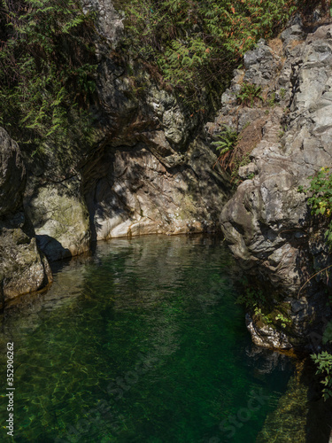 Swimming hole in Lynn Canyon Park, North Vancouver, Vancouver, Lower Mainland, British Columbia, Canada