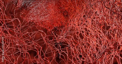 System many small capillaries branch out of the large blood vessels into the circulatory system for the transportation of blood to different parts In the body.  disease hemorrhagic stroke. 3D render. photo