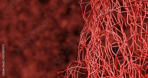 Wallpaper Mural System many small capillaries branch out of the large blood vessels into the circulatory system for the transportation of blood to different parts In the body.  disease hemorrhagic stroke. 3D render. Torontodigital.ca