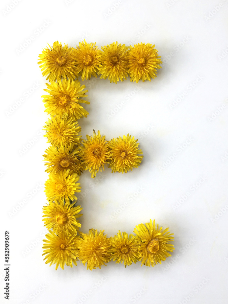 The letter E is made out of dandelion flowers on a white background
