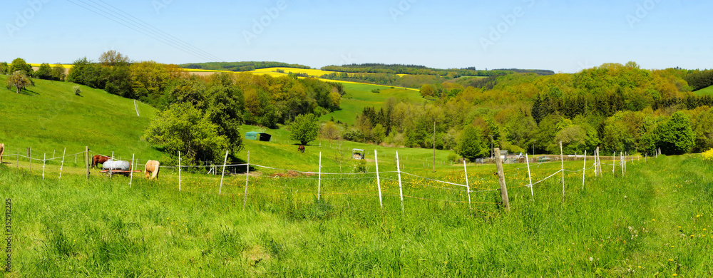 Pferdekoppel Panorama bei Lötzbeuren im Hunsrück
Pferdekoppel Panorama bei Lötzbeuren im Hunsrück