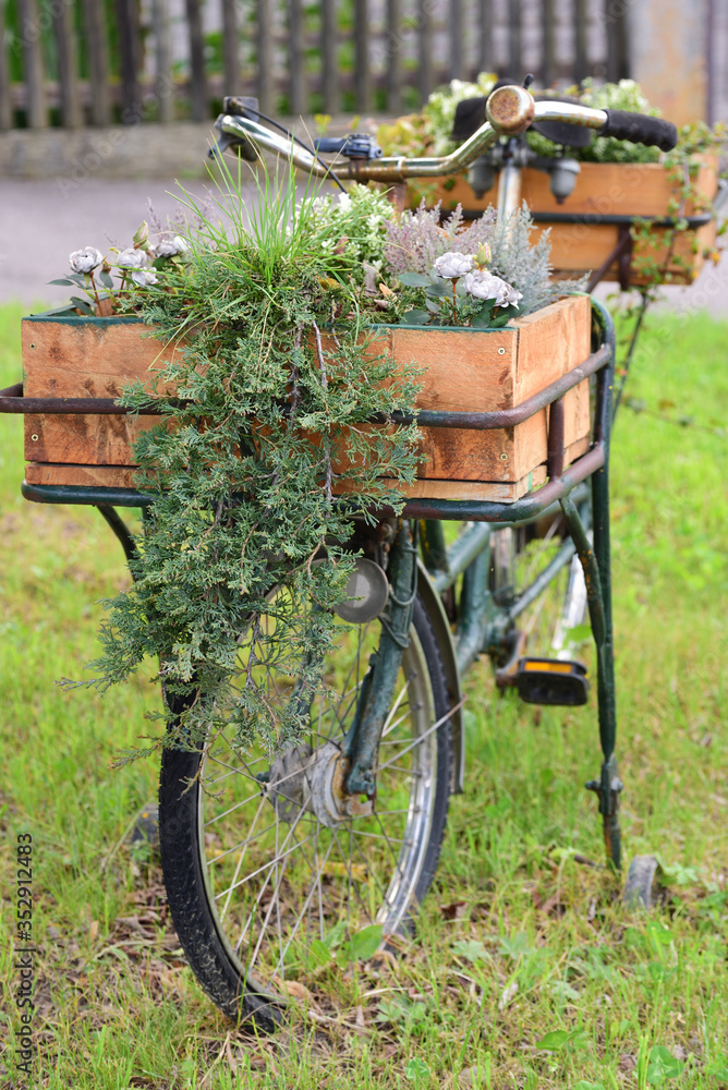 An old bicycle, which has an old box of plants loaded in front and behind, is parked in a meadow