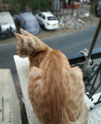 keeping watch
qurantine bore