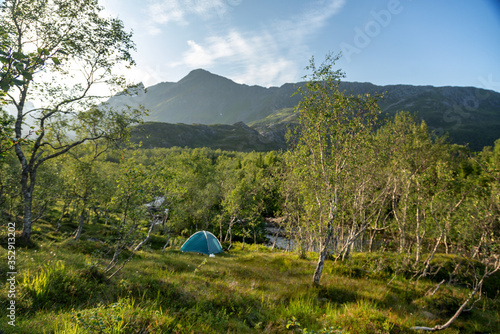 Tent in the woods on a hillside overlooking the mountain  beautiful sunny summer landscape  escape into nature. Local Travel Trend  Norway